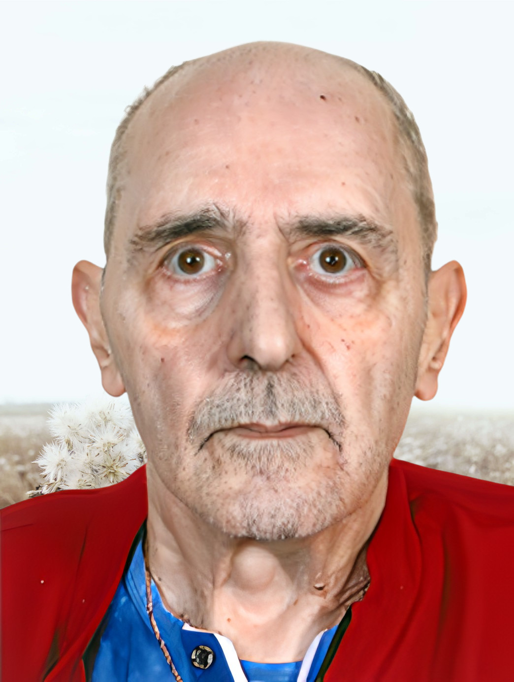 Monsieur Leonardo D'APRILE