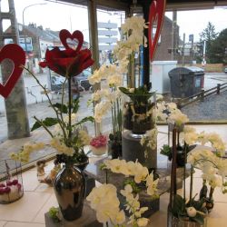 Saint Valentin 05