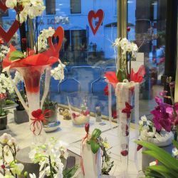 Saint Valentin 09