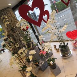 Saint Valentin 12