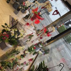 Saint Valentin 13