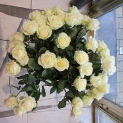 Saint Valentin 16