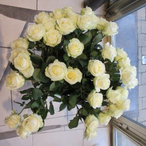 Saint Valentin 16