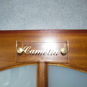 camelia 0