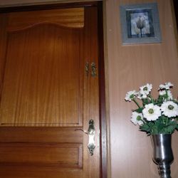 camelia 10