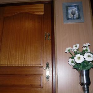 camelia 10