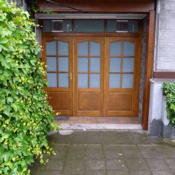 camelia 2
