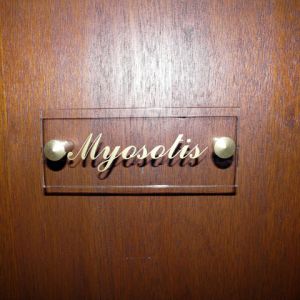 myosotis 0