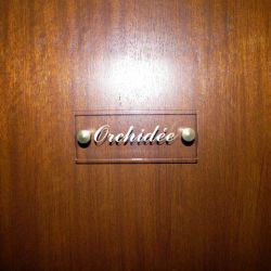 orchidee