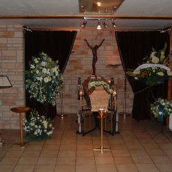 orchidee1