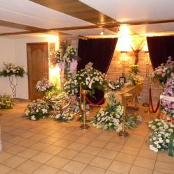 orchidee3