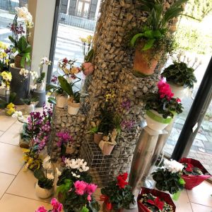 Automne 2018 06