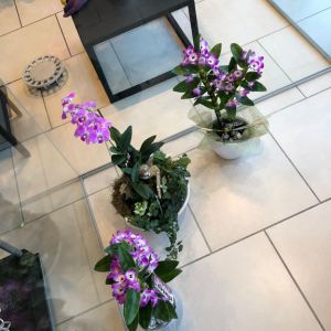 Automne 2018 08