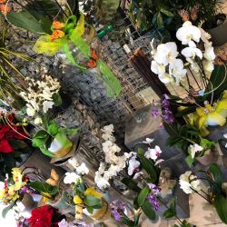 Automne 2018 11